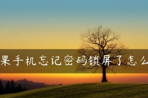 解开苹果锁屏密码的方法（忘记苹果密码怎么办）