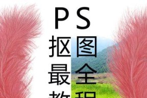 学会Photoshop基础操作，轻松制作专业级图片编辑（从零开始）