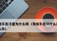 燃气灶开关一松手就灭，可能原因分析（揭秘燃气灶开关灭火的几大可能原因）