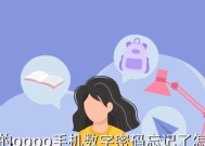 忘记密码解锁oppo手机方法大全（一步一步教你如何解锁oppo手机密码）