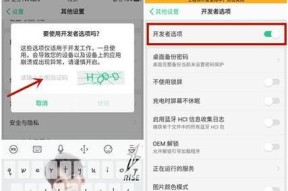 探秘OPPO手机开发者选项的隐藏之谜（解密OPPO手机开发者选项）