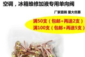 冰箱阀门清洗的正确方法（保持冰箱阀门的卫生）