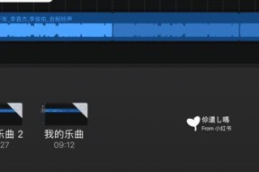 手机没声音了怎么办（解决苹果手机无声的有效方法）