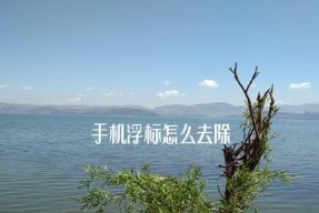 华为手机圆点浮标关闭方法（轻松关闭华为手机圆点浮标）