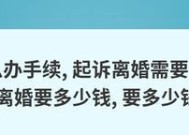 离婚起诉流程及费用详解（揭秘离婚起诉的各个环节和经济开销）