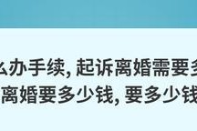 离婚起诉流程及费用详解（揭秘离婚起诉的各个环节和经济开销）