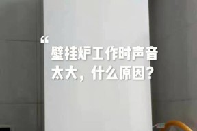 燃气热水器与燃气壁挂炉的区别（解析燃气家用设备的不同特点）