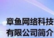 解决戴尔显示器白边问题的有效方法（如何调整显示器设置来消除白边）