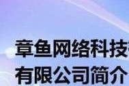 解决戴尔显示器白边问题的有效方法（如何调整显示器设置来消除白边）