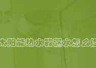 如何修理热水器加热盘漏水问题（教你简单解决热水器漏水的方法）