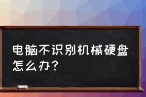 电脑无法识别硬盘的解决方法（快速解决电脑不识别硬盘的问题）