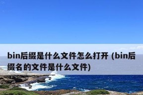 深入了解bin文件格式的特点和应用领域（揭开bin文件的神秘面纱）