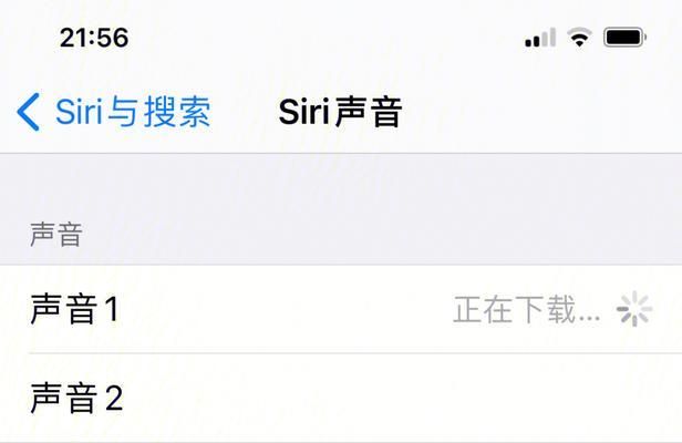 iPhone突然失声？解决方法大揭秘！（探究iPhone失声原因及其应对措施，让您的手机重现美妙音响！）  第3张