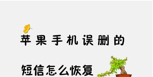 苹果批量删除短信的简便方法（快速清除苹果手机中的多条短信）  第3张