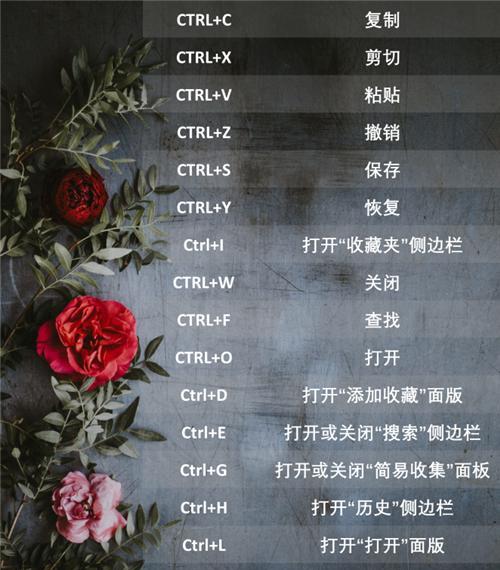 CTRL大全（提率，尽在指尖之间）  第1张