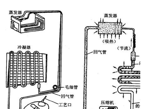 车载电冰箱（深入了解车载电冰箱的工作原理和关键技术）  第3张