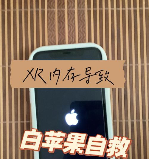 解决iPhone卡在白苹果界面的有效方法（教你如何快速修复白苹果界面卡顿问题）  第3张