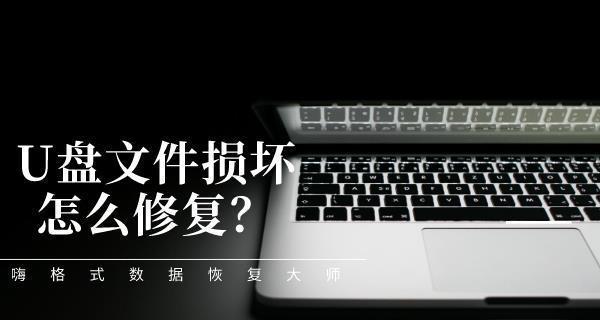 U盘文件损坏恢复数据的技巧（教你如何从损坏的U盘中恢复丢失的文件）  第1张