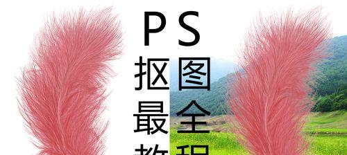 学会Photoshop基础操作，轻松制作专业级图片编辑（从零开始）  第1张