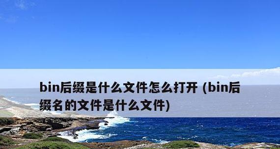 深入了解bin文件格式的特点和应用领域（揭开bin文件的神秘面纱）  第1张