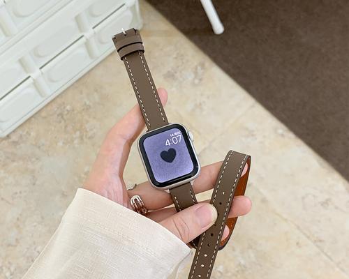 AppleWatchSE手表的实用性和性能如何（探究AppleWatchSE手表的功能和用户体验）  第1张