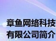 解决戴尔显示器白边问题的有效方法（如何调整显示器设置来消除白边）  第1张