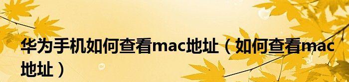 利用手机MAC地址查看方法（掌握手机MAC地址查询技巧）  第2张