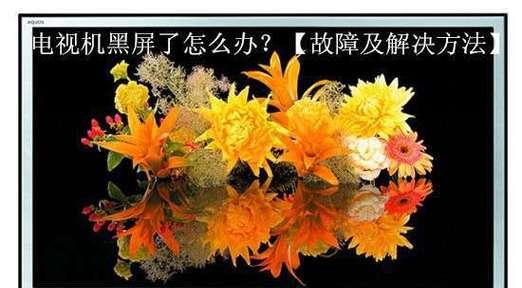 长虹电视机黑屏有声音问题的原因及解决方法（探究长虹电视机画面黑屏但有声音的故障现象）  第3张