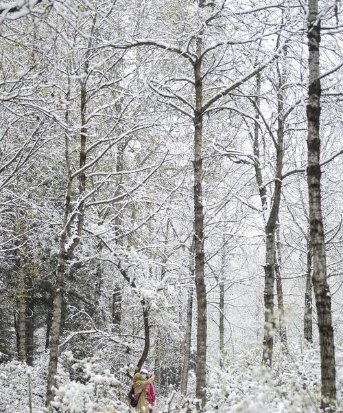 如何撰写手机在雪中丢失后的处理话题？  第3张